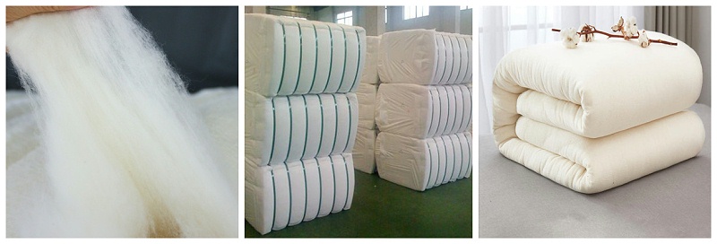 jinnian金年会医纺