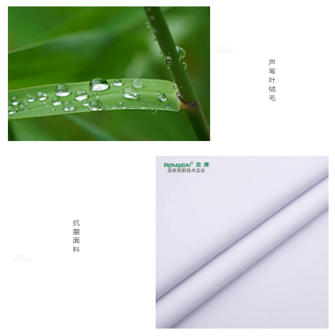 jinnian金年会医纺